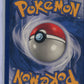 Jungle Meowth #56/64